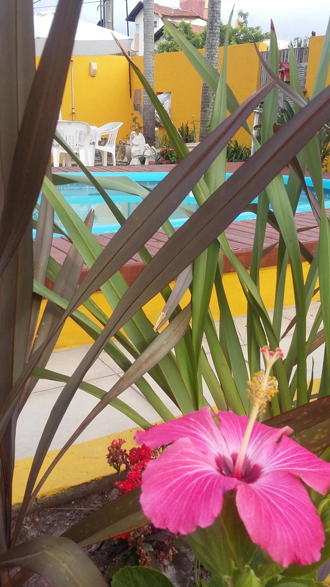 Casa Pousada Rosa Dos Ventos フロリアノポリス エクステリア 写真